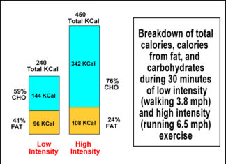 MYTH – The Fat Burning Zone fat burning zone