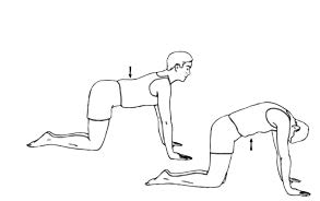 low back