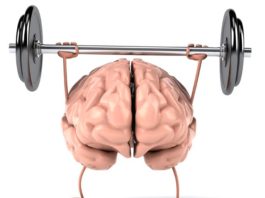 Workout Your Brain