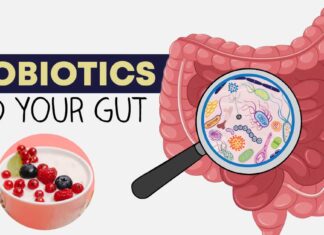 Favorite Gut Healthy Food? probiotic health