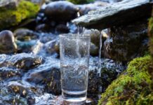 Hydration Hacks: Achieving Optimal Wellness water hydration