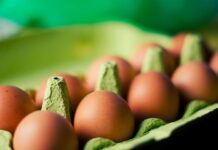 The 12 Best Protein Sources for Busy Parents to Boost Health and Wellness eggs protein wellness