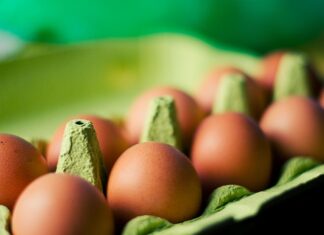 The 12 Best Protein Sources for Busy Parents to Boost Health and Wellness eggs protein wellness