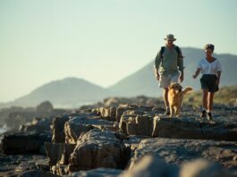 The 5-Minute Brain Boost: A Simple Tip for Busy Parents 5 minute brain boost