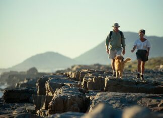 The 5-Minute Brain Boost: A Simple Tip for Busy Parents 5 minute brain boost