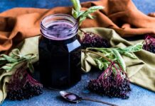 This Purple Powerhouse Boost Fat Burning by 27% benefits of elderberry