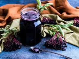 This Purple Powerhouse Boost Fat Burning by 27% benefits of elderberry