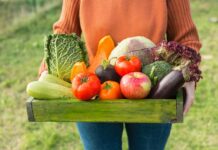 Stop Googling “Best Foods for Gut Health” and Read This Instead gut health foods