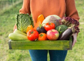 Stop Googling “Best Foods for Gut Health” and Read This Instead gut health foods